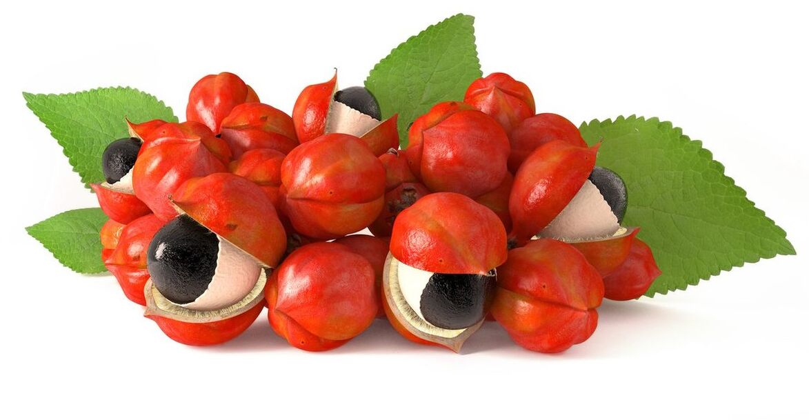 Guarana magkivonat abslimben